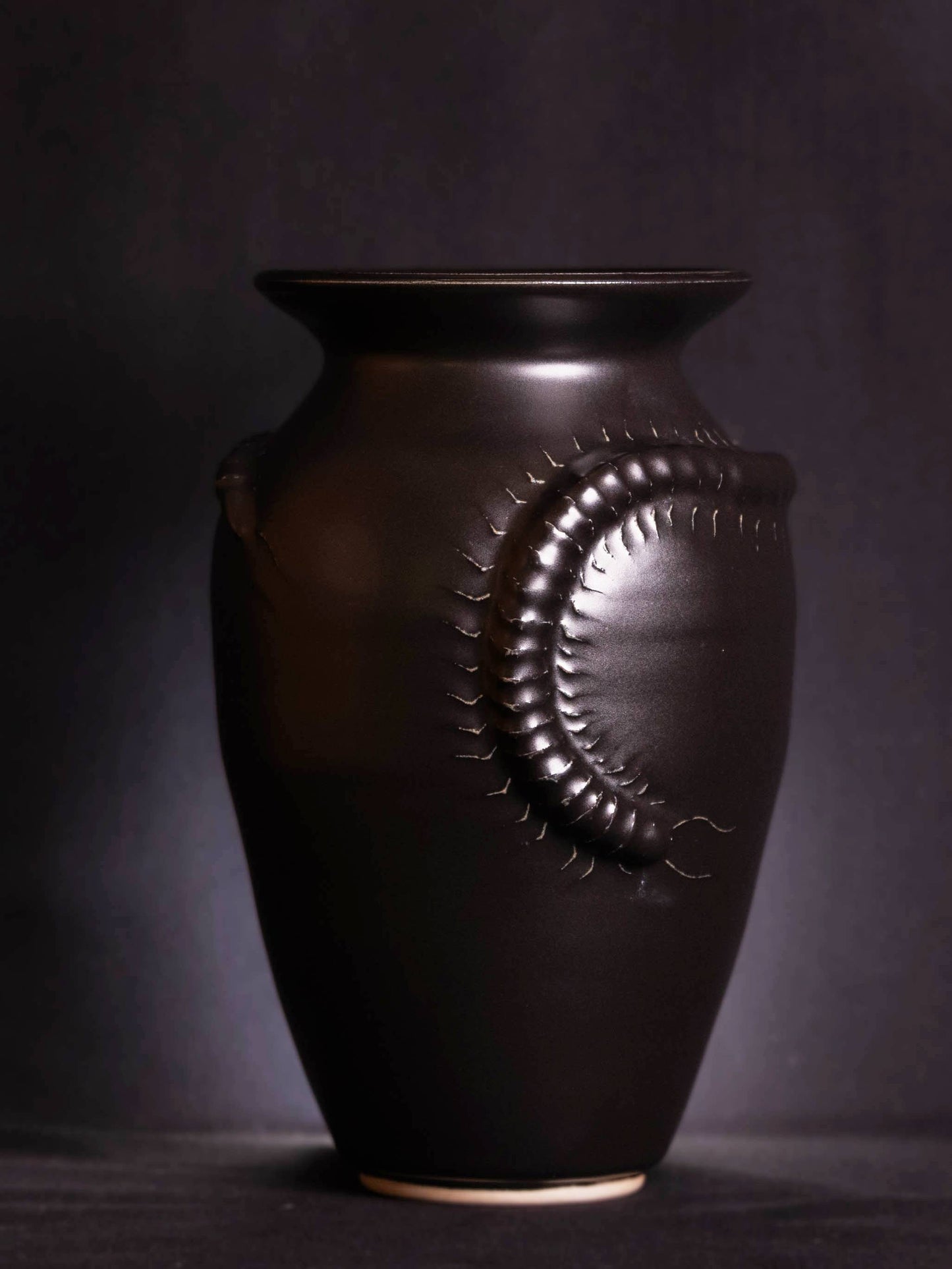 Crawling Centipede Vase